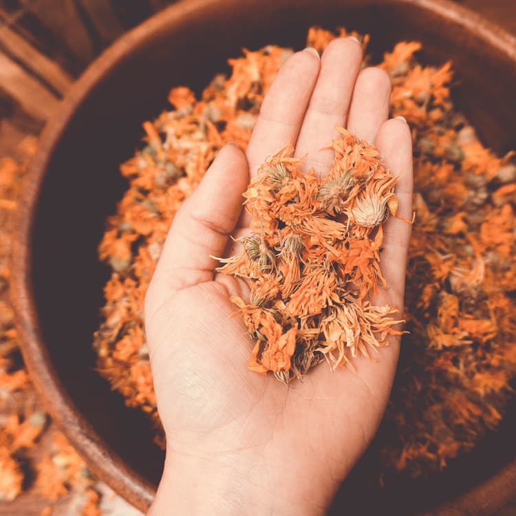 Schale mit getrocknetem Calendula